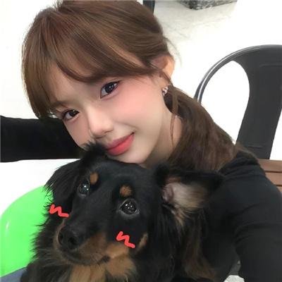 柴犬公园